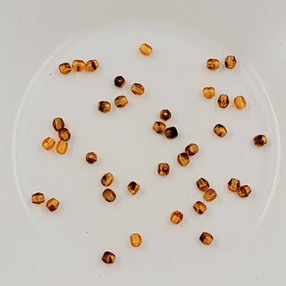 Czech Fire Polished Glass 3mm Faceted Round Transparent Variegated Amber 20 Pack